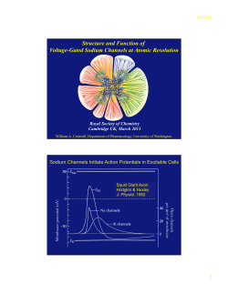 Structure, function, and pharmacology of sodium channels at atomic resolution
