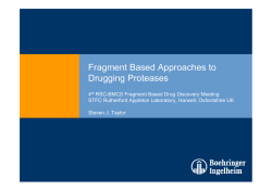 Fragment‐based approaches towards drugging proteases