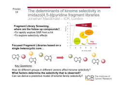 The determinants of kinome selectivity in imidazo[4,5‐b]pyridine based fragment libraries