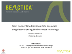 From transition state analogues to fragments - drug discovery using SPR biosensor technology