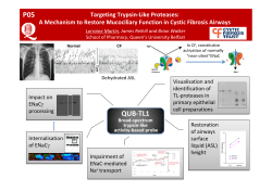 Targeting trypsin-like proteases: a mechanism to restore mucociliary function in cystic fibrosis airways