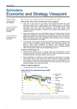 economic and strategy viewpoint january 2016