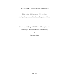 Ibarra Charmaine thesis 2015