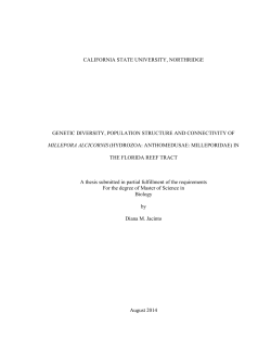 Jacinto Diana thesis 2014