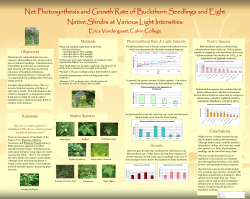 Net Photosynthesis and Growth Rate of Buckthorn Seedlings and Eight Native Shrubs at Various Light Intensities