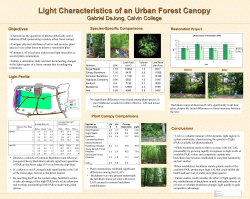 Light Characteristics of an Urban Forest Canopy