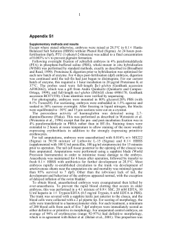 Appendix S1
