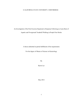 Lai Byron thesis 2014