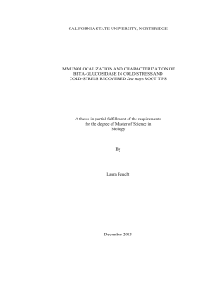 Feucht Laura thesis 2014