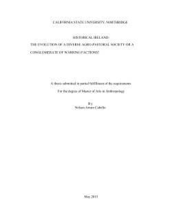 Cabello Nelson thesis 2015