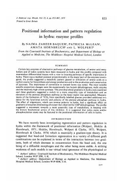 PDF