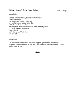 Summer Workshop Menu
