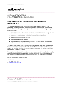 Small Arts Awards Full Application Guidelines [PDF 221.50KB]