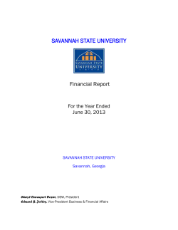 FY2013 Annual Financial Report