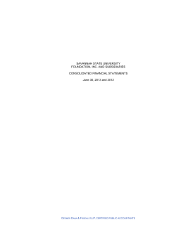 FY2013 Foundation, Inc. Audit Report