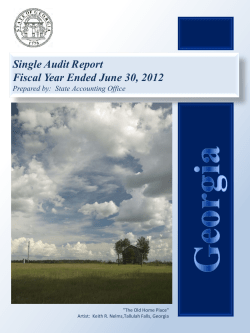 FY2012 GA Single Audit Report