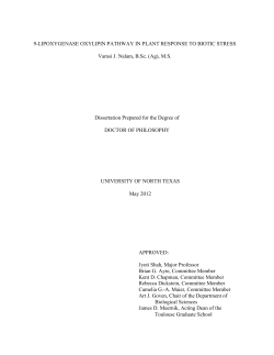 Download PDF