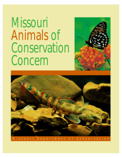 Missouri Animals of Conservation Concern