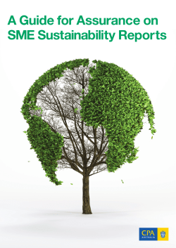 A guide for assurance on SME sustainability reports