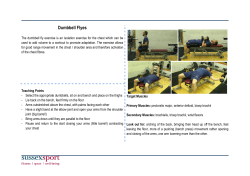 Dumbbell Flyes [PDF 152.25KB]