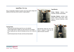 Chin Ups [PDF 161.58KB]