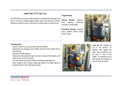 MTS High Row [PDF 196.65KB]