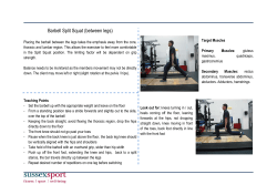 Barbell Split Squat between legs [PDF 134.55KB]