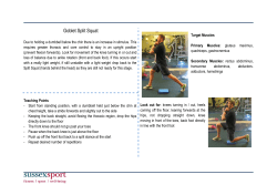 Goblet Split Squat [PDF 134.28KB]