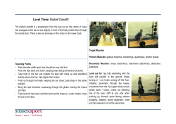 Barbell Deadlift [PDF 134.74KB]