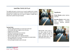 Stability Ball Squat [PDF 136.27KB]
