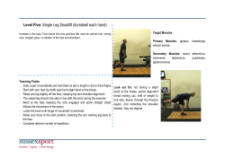 Single Leg Deadlift Dumbbell Each Hand [PDF 139.55KB]