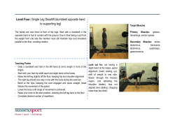 Single Leg Deadlift Dumbbell Opposite Hand [PDF 149.04KB]