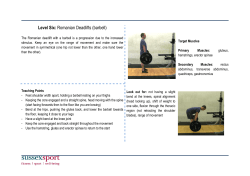Romanian Deadlift Barbell [PDF 113.81KB]