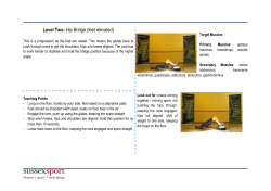 Hip Bridge Feet Elevated [PDF 119.29KB]