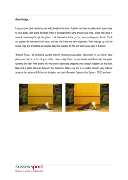 Glute Bridge [PDF 135.28KB]