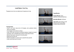 Dead Bug [PDF 99.82KB]