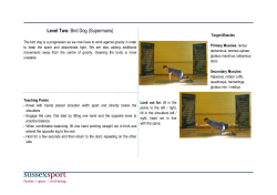 Bird Dog Superman [PDF 122.19KB]