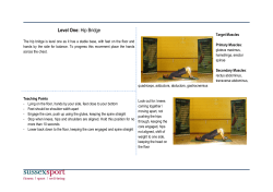 Hip Bridge [PDF 129.87KB]