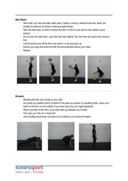 Med Slams Burpees [PDF 124.46KB]