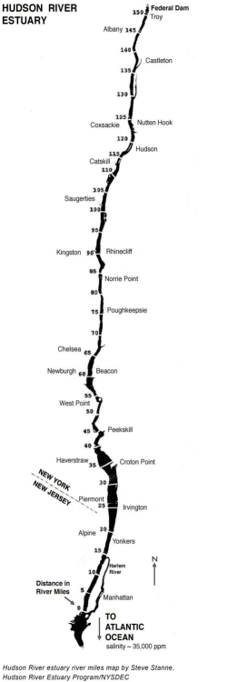 Freestanding illustrations