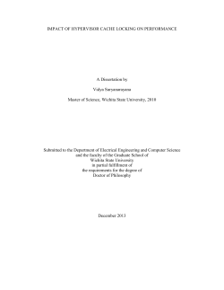 d13033_Suryanarayana.pdf