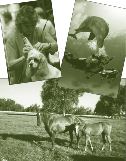 Careers for creature lovers