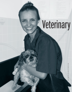 Veterinary technicians: Nursing animals to health