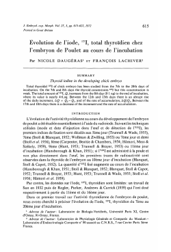 PDF
