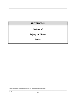 4.1 Nature of Injury or Illness