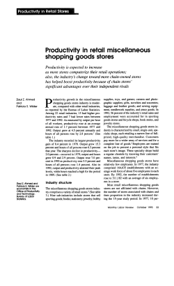 Productivity in Retail Miscellaneous Shopping Goods Stores. October 1995.