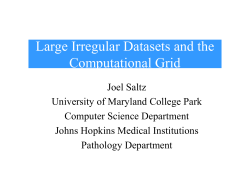 Large Irregular Datasets and the Computational Grid