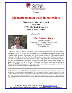 "Magnetic domain walls in nanowires"