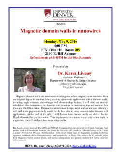 "Magnetic domain walls in nanowires"