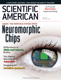 Neuromorphic Chips